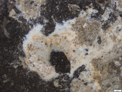 01 white pigment residues.tif