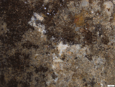 01 white pigment.tif