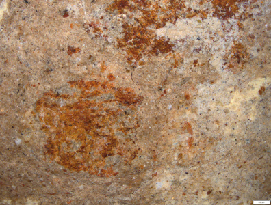 01 yellow & red pigment traces inner side.tif