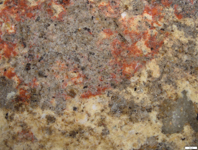 01 yellow coating and red imprints.tif