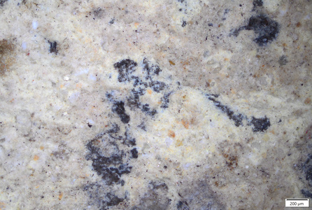 01 yellow coating back outer side near fracture.tif