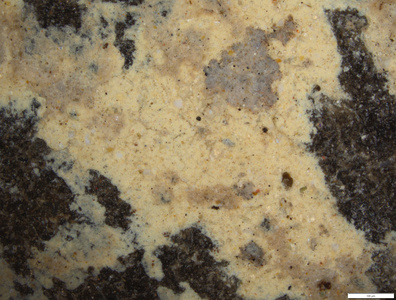 01 yellow coating bad scale 50x.tif