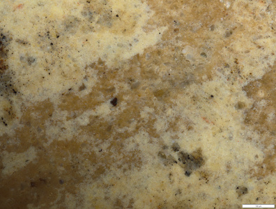 01 yellow coating detail.tif