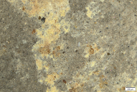 01 yellow coating on L shoulder back.tif