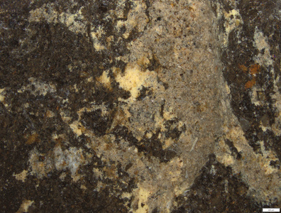01 yellow coating residues and red trace.tif