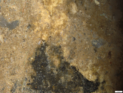 01 yellow coating under sinter on shin.tif