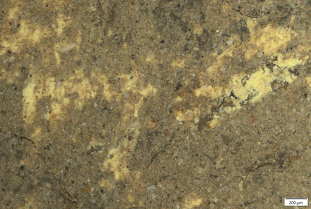 01 yellow coating waist.tif