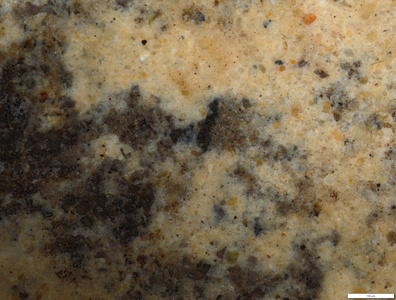 01 yellow pigment detail.tif