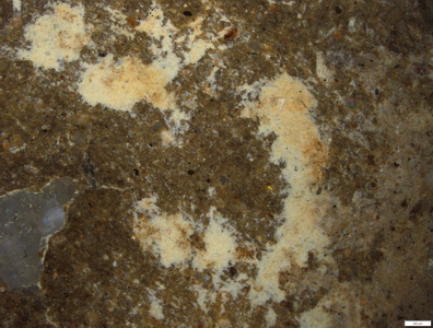 01 yellow pigment residues.tif