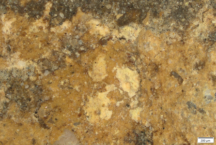01 yellow pigment trace inner elbow.tif
