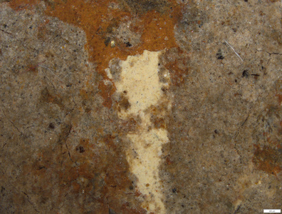 01 yellow pigment trace.tif