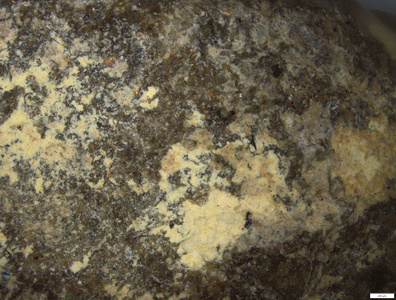 01 yellow pigment traces toes.tif