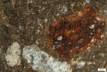 TK009 polished section 01 POL.tif