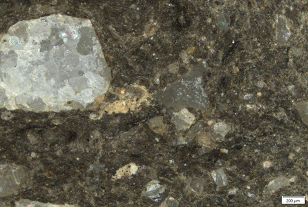 TK010 polished section 01 POL.tif