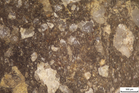TK018 polished section 01 POL.tif