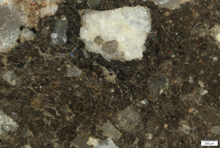 TK025 polished section 01 POL.tif