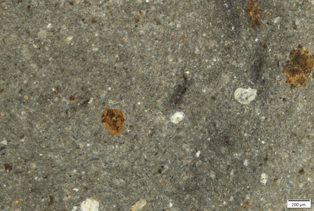TK042 polished section 01 POL.tif