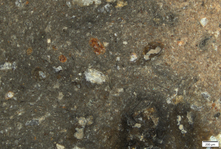 TK054 polished section 01 POL.tif