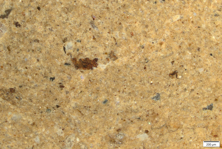 TK057 polished section 01 POL.tif