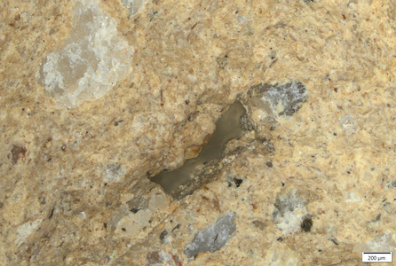 TK064 polished section 01 POL.tif