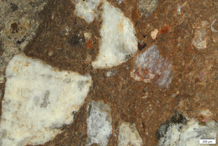 TK072 polished section 01 POL.tif