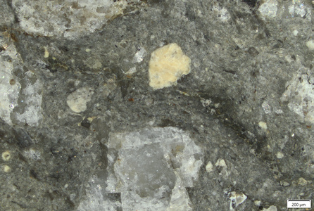 TK073 polished section 01 POL.tif