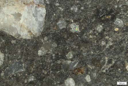 TK076 polished section 01 POL.tif