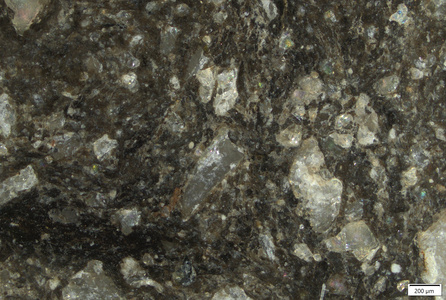 TK086 polished section 01 POL.tif