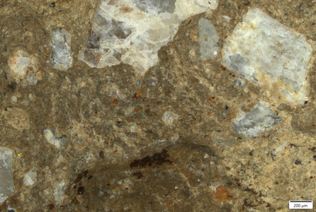 TK093 polished section 01 POL.tif