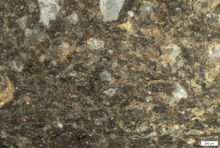TK094 polished section 01 POL.tif