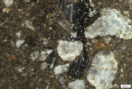 TK099 polished section 01 POL.tif