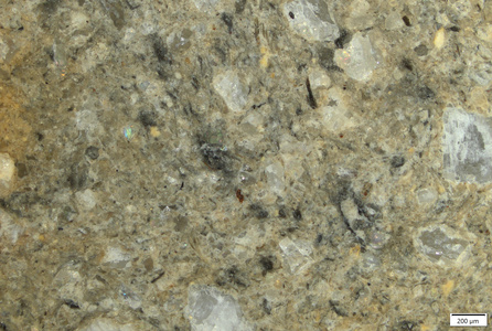 TK101 polished section 01 POL.tif