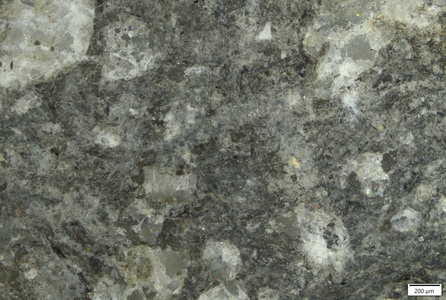 TK135 polished section 01 POL.tif