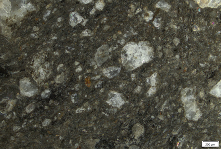TK142 polished section 01 POL.tif