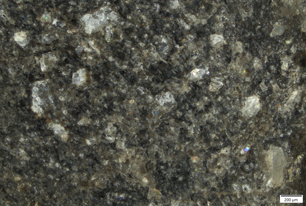 TK168 polished section 01 POL.tif