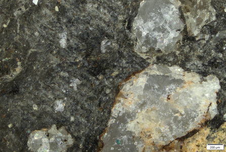 TK183 polished section 01 POL.tif
