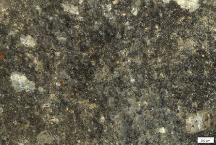 TK187 polished section 01 POL.tif