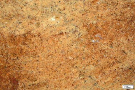 TK220 polished section 01 POL.tif